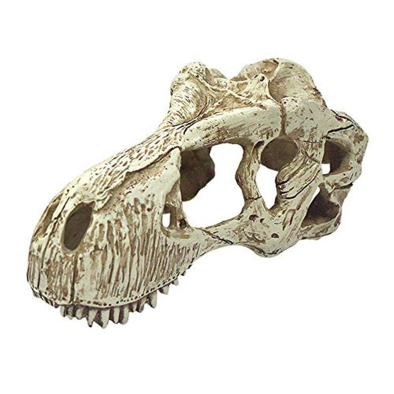 Komodo T-Rex Skull - Large